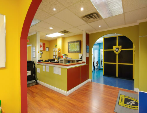 Toronto International Academy